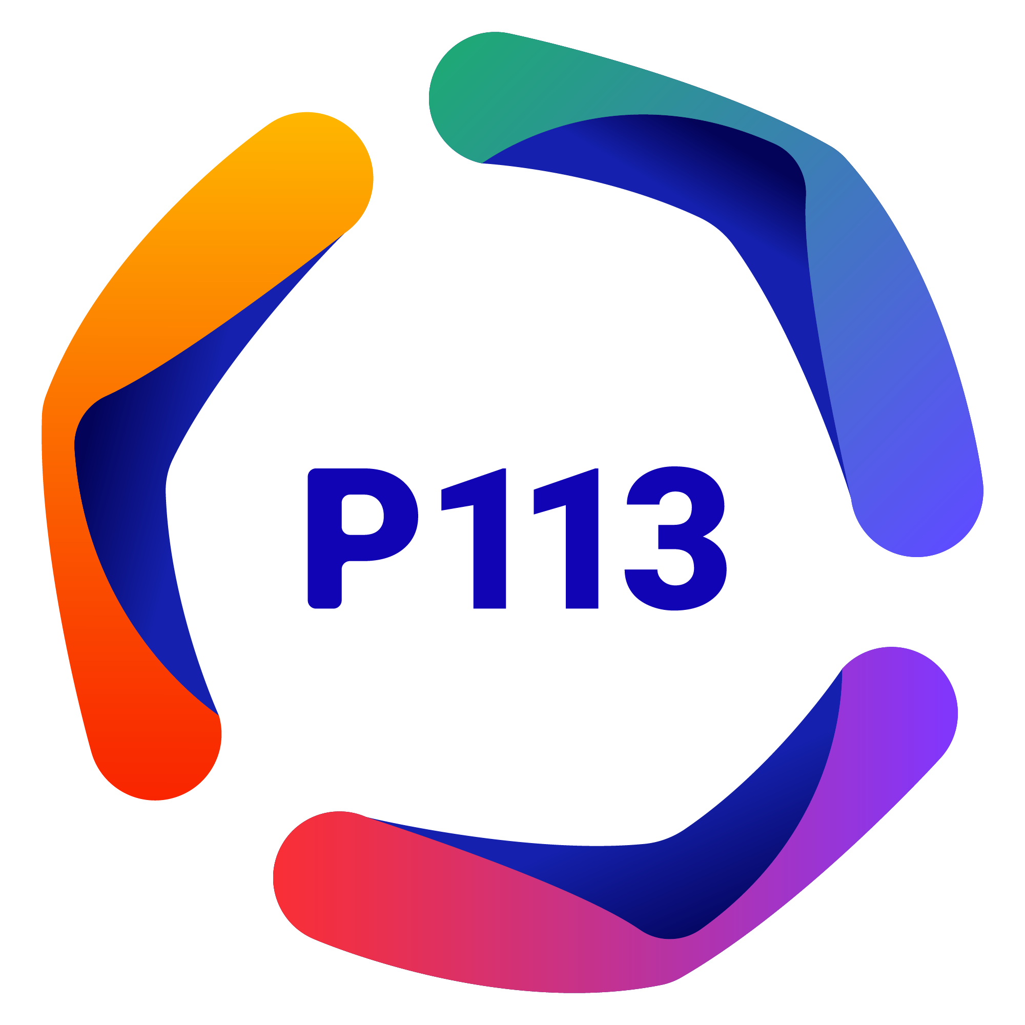 P113